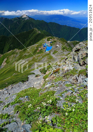 北岳への登りから肩の小屋と甲斐駒ヶ岳 20951624