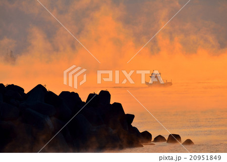 中土佐の海霧 中土佐の海霧 20951849