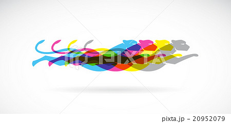 Vector image of an cheetah design  20952079
