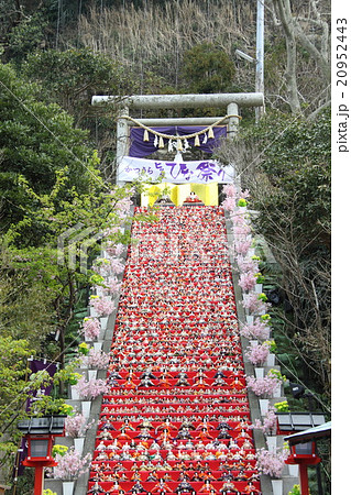 ひな祭り 20952443