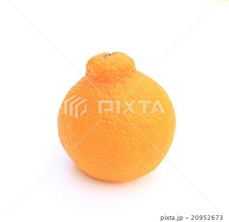 でべそなデコポン 20952673