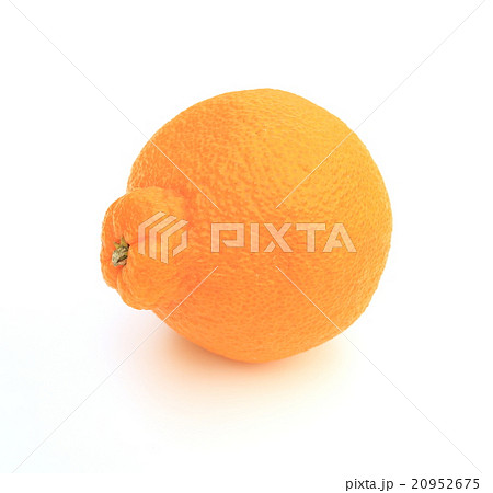 でべそなデコポン 20952675