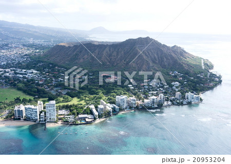 ダイヤモンドヘッド 20953204