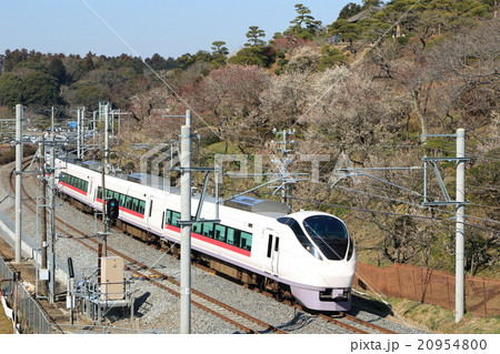 常磐線「水戸偕楽園と特急ひたち」 常磐線「水戸偕楽園と特急ひたち」 20954800