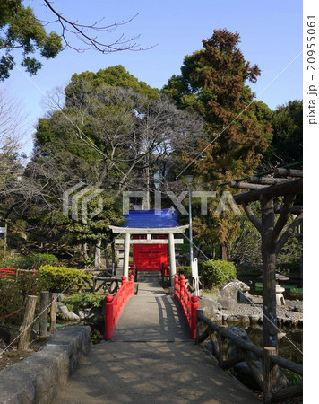 須藤公園（3月）東京都文京区 20955061