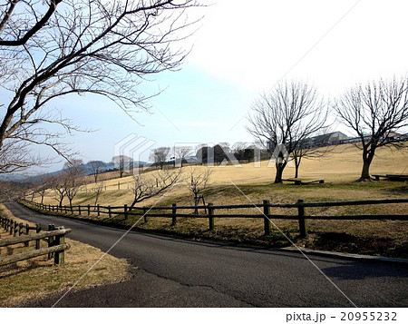 高千穂牧場 高千穂牧場 20955232