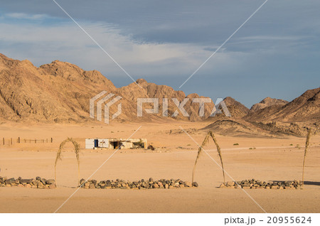 Egyptian desert and mountains 20955624