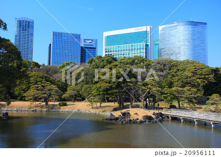 浜離宮恩賜庭園と高層ビル 20956111