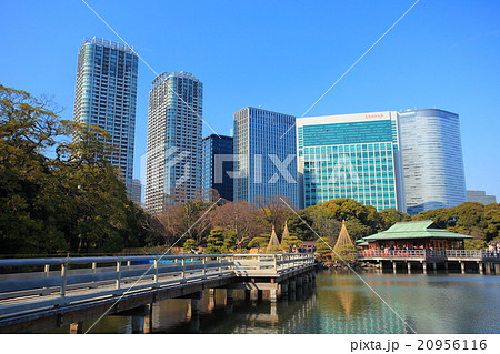 浜離宮恩賜庭園と高層ビル 20956116