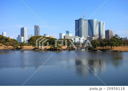 浜離宮恩賜庭園と高層ビル 浜離宮恩賜庭園と高層ビル 20956118