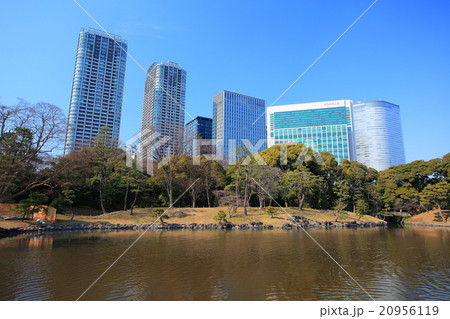 浜離宮恩賜庭園と高層ビル 浜離宮恩賜庭園と高層ビル 20956119