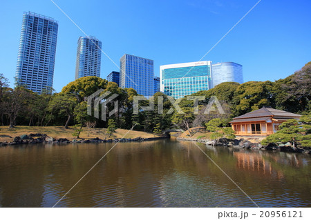 浜離宮恩賜庭園と高層ビル 浜離宮恩賜庭園と高層ビル 20956121