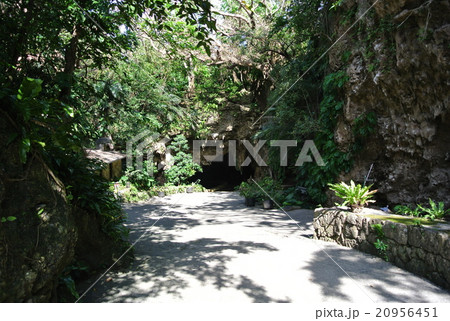 サビチ洞 サビチ洞 20956451