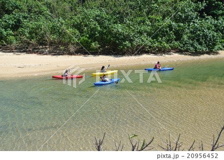 マングローブカヌー 20956452