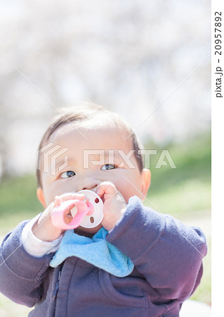 7 months old 7 months old 20957892