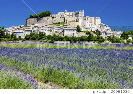 Grignan with lavender field,Drome,Rhone-Alpes, Fra Grignan with lavender field,Drome,Rhone-Alpes, Fra 20961056