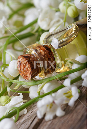 essence of lilies of the valley on the table essence of lilies of the valley on the table 20961294