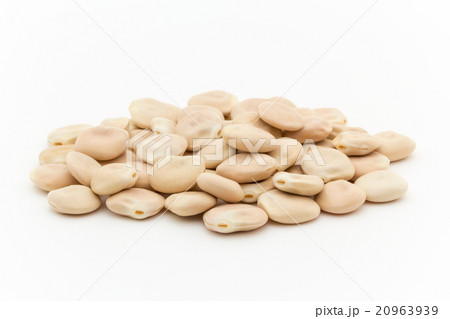 ウチワマメ: Lupini beans ウチワマメ: Lupini beans 20963939
