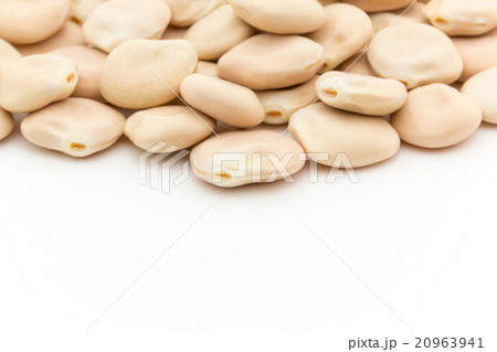 ウチワマメ: Lupini beans 20963941