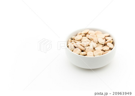 ウチワマメ: Lupini beans ウチワマメ: Lupini beans 20963949