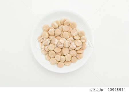 ウチワマメ: Lupini beans ウチワマメ: Lupini beans 20963954