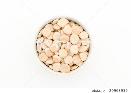 ウチワマメ: Lupini beans ウチワマメ: Lupini beans 20963956