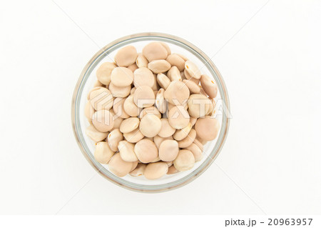 ウチワマメ: Lupini beans ウチワマメ: Lupini beans 20963957