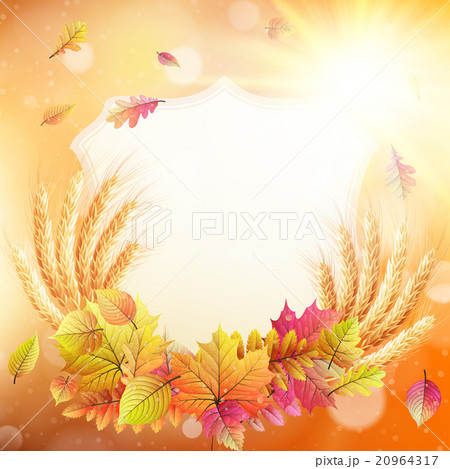 Autumn background with colorful leaves. EPS 10 20964317