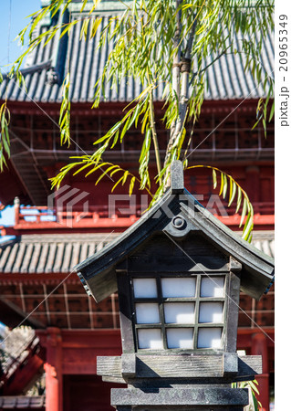 増上寺正門前の石塔 増上寺正門前の石塔 20965349