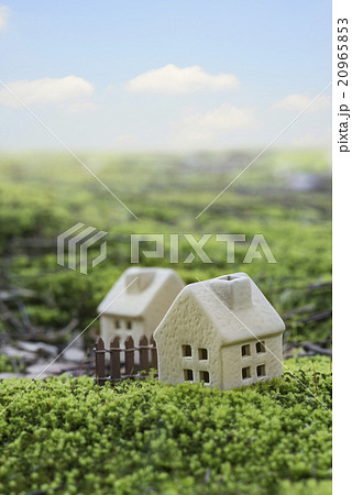 マイホーム マイホーム 20965853