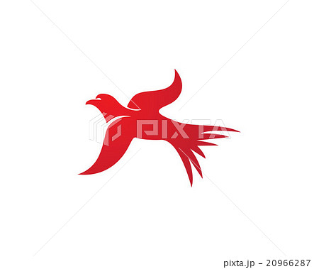 Falcon Logo Template 20966287