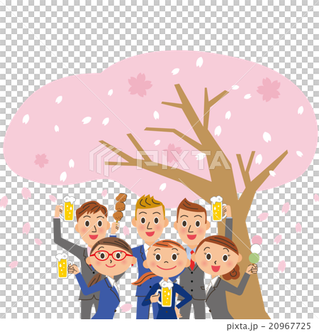 会社員がお花見 会社員がお花見 20967725