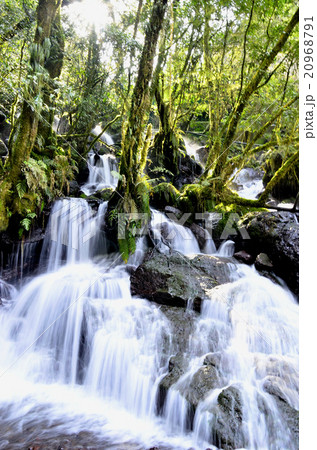 菊池の赤石谷 菊池の赤石谷 20968791