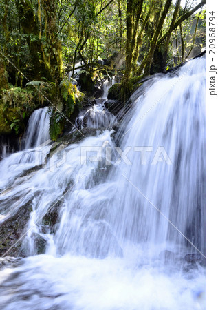 菊池の赤石谷 菊池の赤石谷 20968794