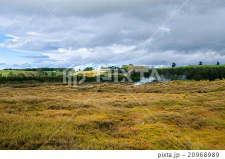 The Craters of the Moon in New Zealand 20968989