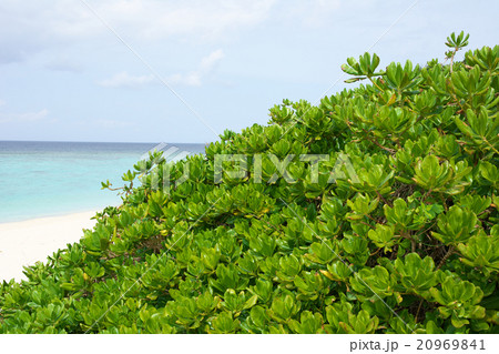 瀬底ビーチ（沖縄県） 20969841