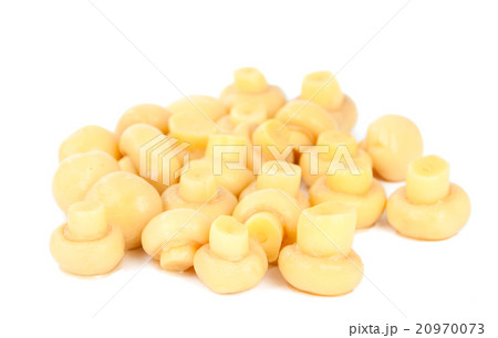 mushrooms 20970073