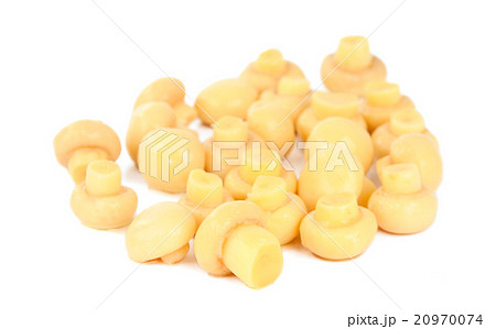 mushrooms 20970074