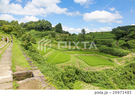 通潤橋　夏 20971485