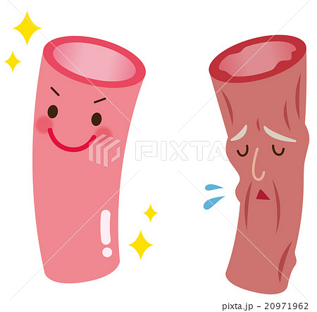 血管年齢 医療 健康 血管年齢 医療 健康 20971962