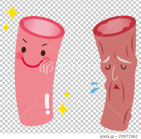 血管年齢 医療 健康 血管年齢 医療 健康 20971962