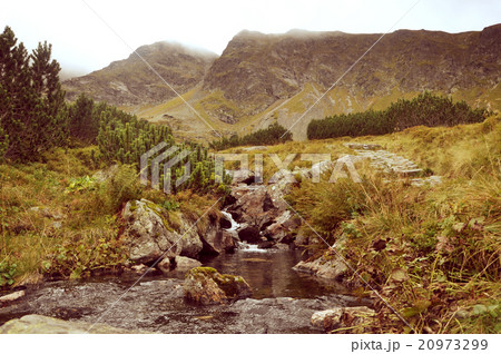 vintage landscape of tatra mountains 20973299