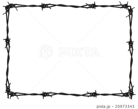 Barb frame 20973343