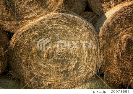 Hay bails on the field 20973692