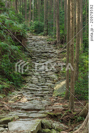 馬越峠 馬越峠 20979592