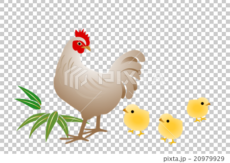 酉年年賀素材　親鳥とひよこ 20979929