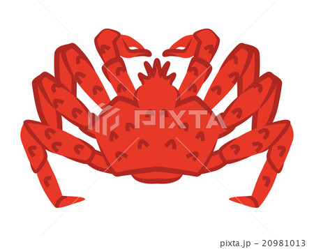 カニ カニ 20981013