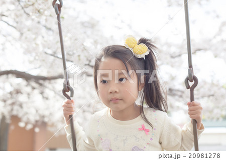 cherry blossom 5 years old cherry blossom 5 years old 20981278
