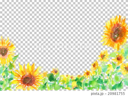 Illustration Sunflower Summer Background Stock Illustration