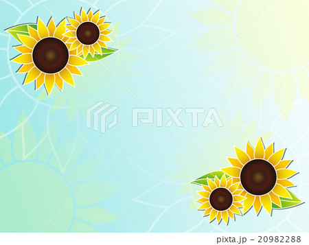 ひまわりと太陽 ひまわりと太陽 20982288
